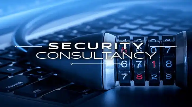 Security Consultant